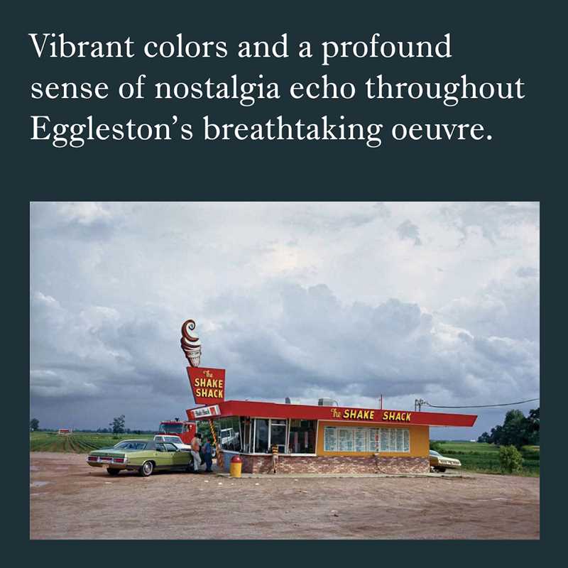 William Eggleston: The Outlands by William Eggleston